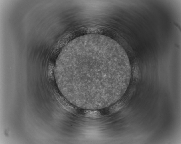 X0000103950185200810311558