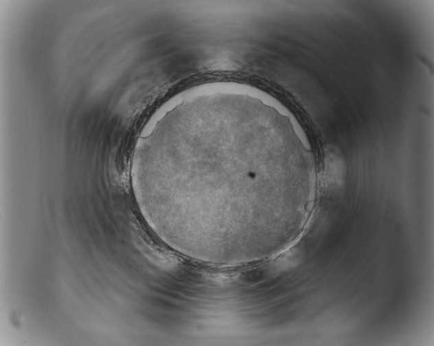 X0000103950186200810311558