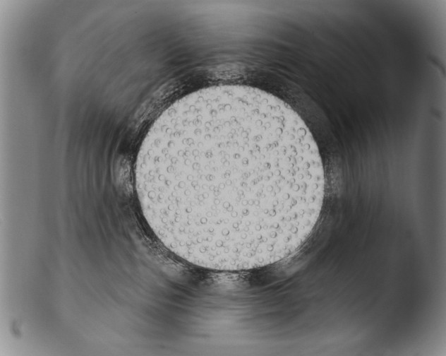 X0000103950187200810311558