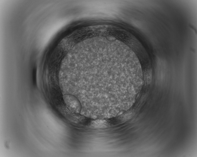 X0000103950189200810311558