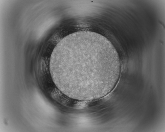 X0000103950190200810311558