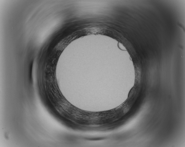 X0000103950191200810311558