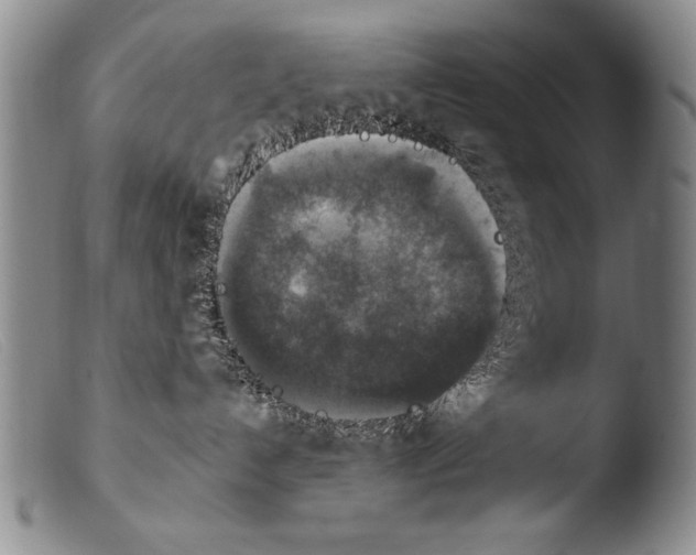 X0000103950192200810311558