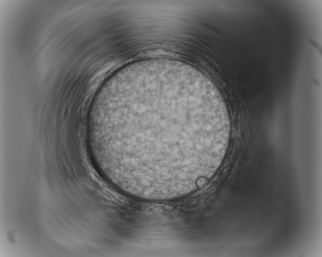 X0000103950193200810311558