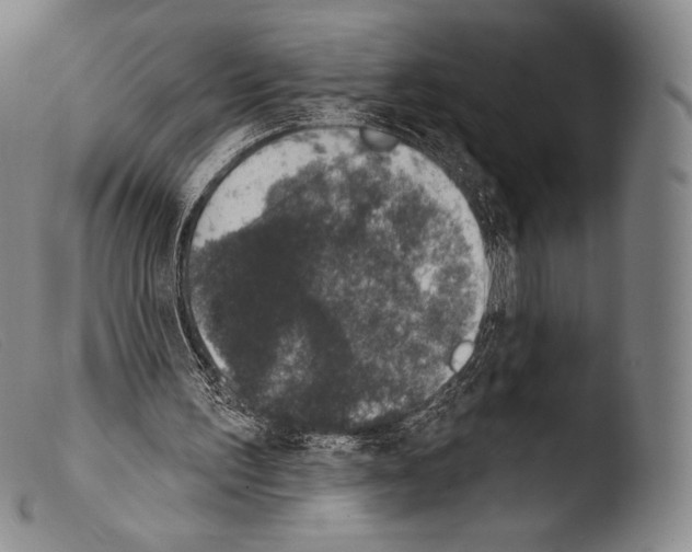 X0000103950195200810311558