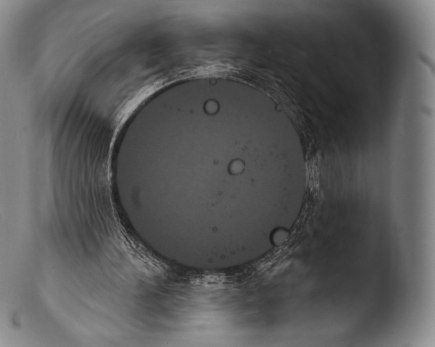 X0000103950196200810311557