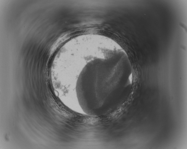 X0000103950198200810311557