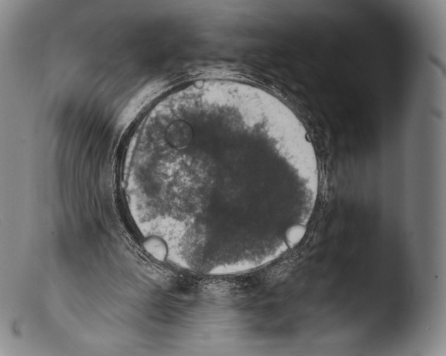 X0000103950199200810311557