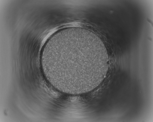 X0000103950200200810311557