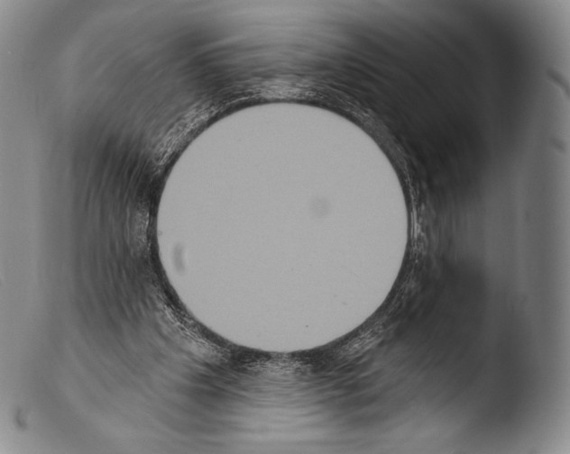 X0000103950201200810311557