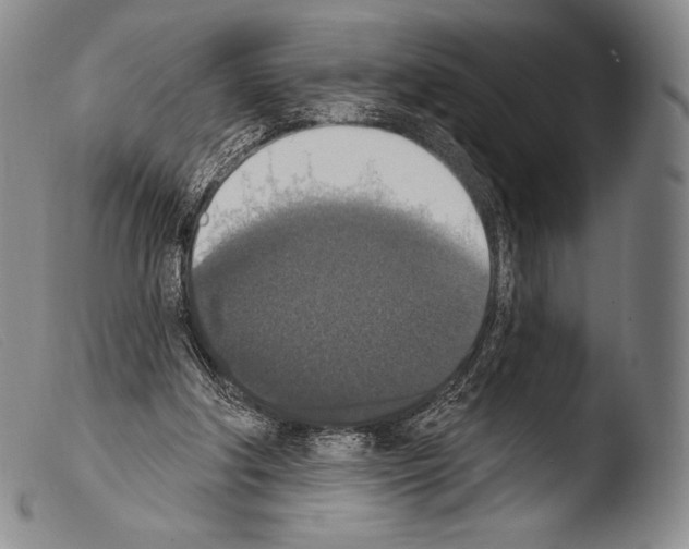 X0000103950202200810311557