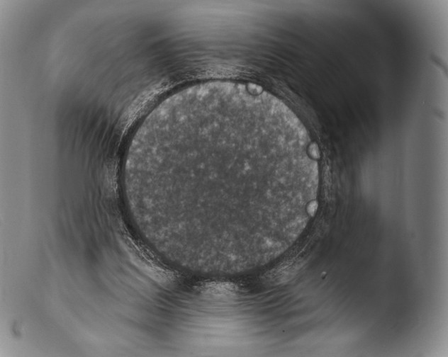 X0000103950203200810311557