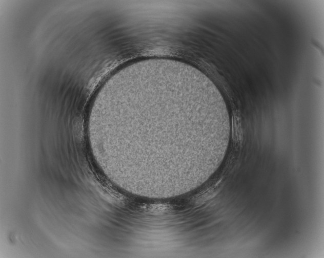 X0000103950204200810311557