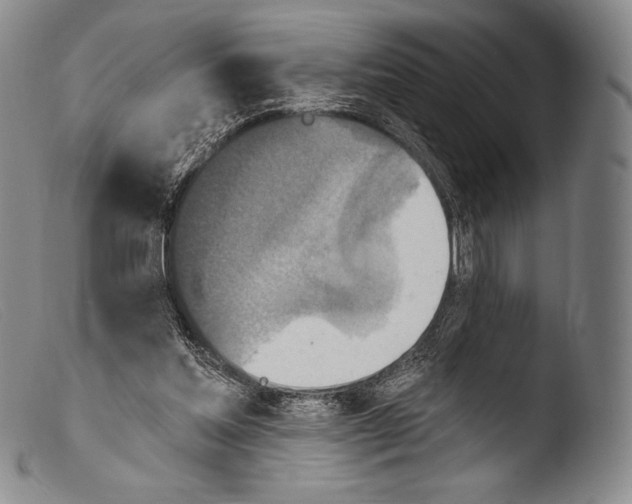 X0000103950205200810311557