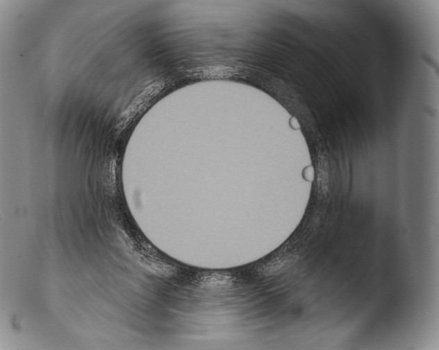 X0000103950206200810311557