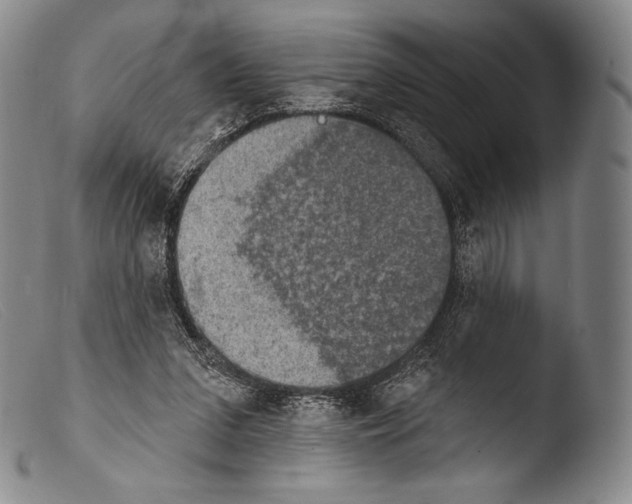 X0000103950207200810311557