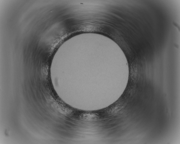 X0000103950208200810311557