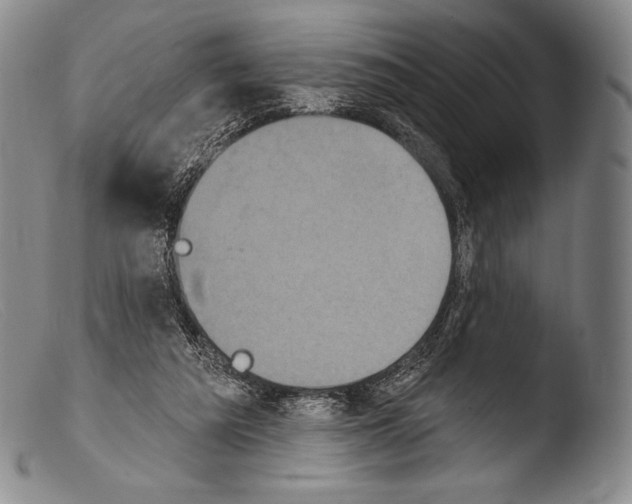 X0000103950209200810311557