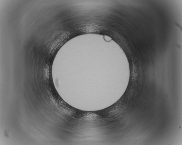 X0000103950210200810311557