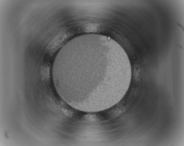X0000103950211200810311557
