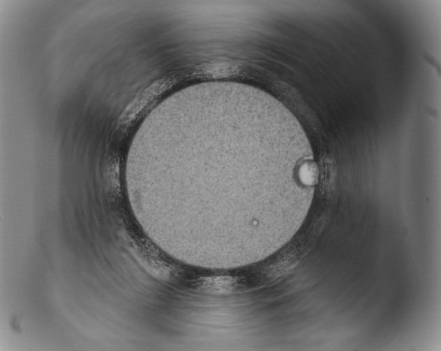 X0000103950212200810311557