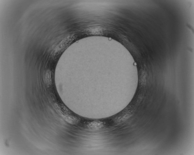 X0000103950213200810311557