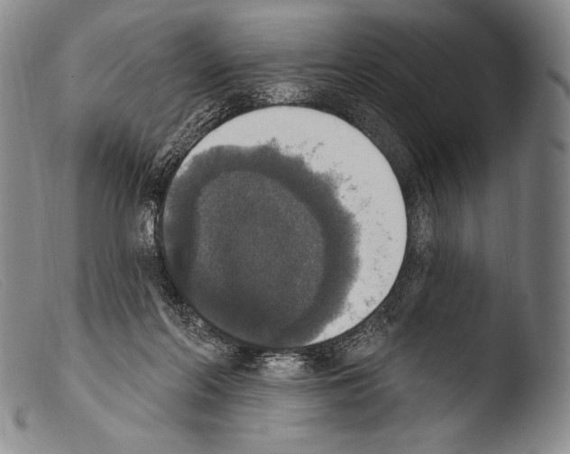 X0000103950214200810311557