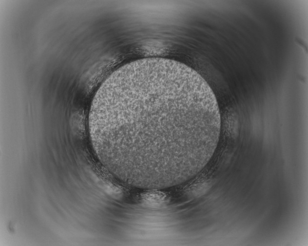 X0000103950215200810311557