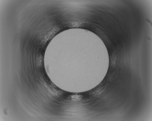 X0000103950216200810311557