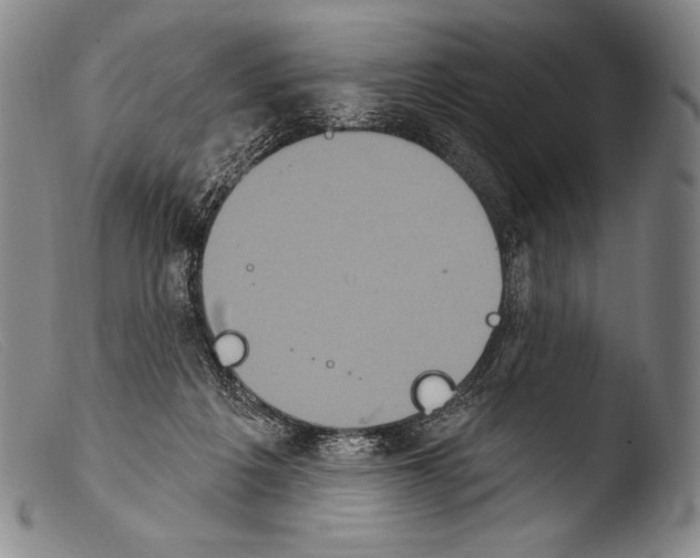 X0000103950217200810311557