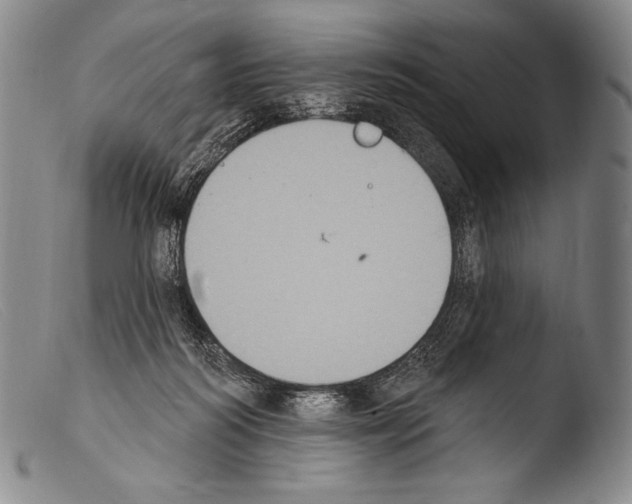 X0000103950218200810311557
