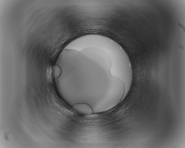 X0000103950219200810311557