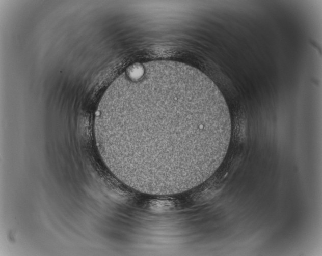 X0000103950220200810311557