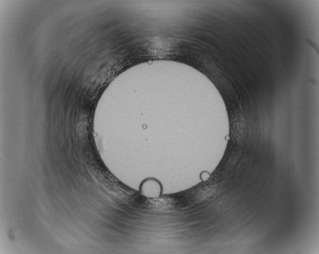X0000103950221200810311557