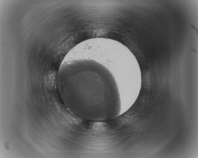 X0000103950222200810311557