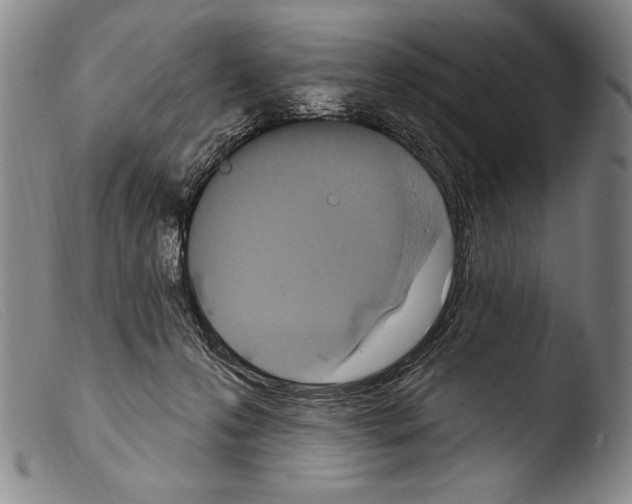 X0000103950223200810311557