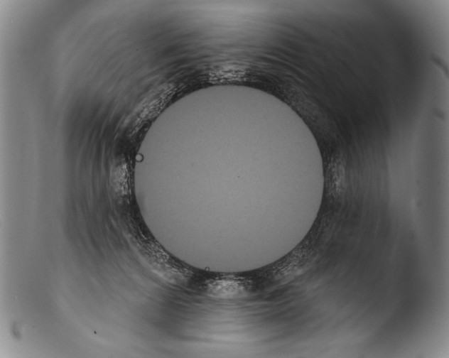 X0000103950224200810311557