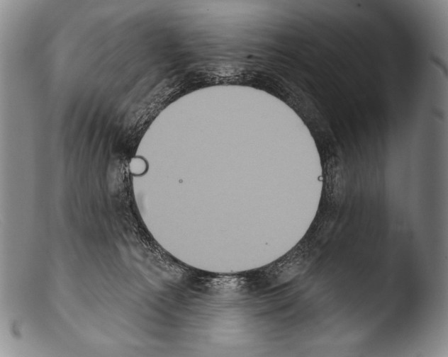 X0000103950225200810311557