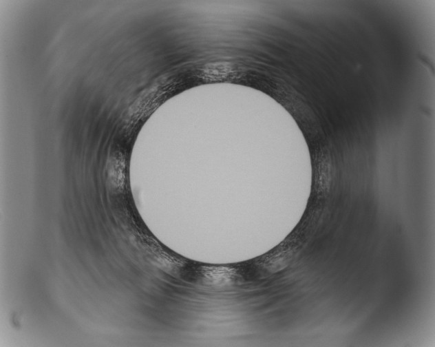 X0000103950226200810311557