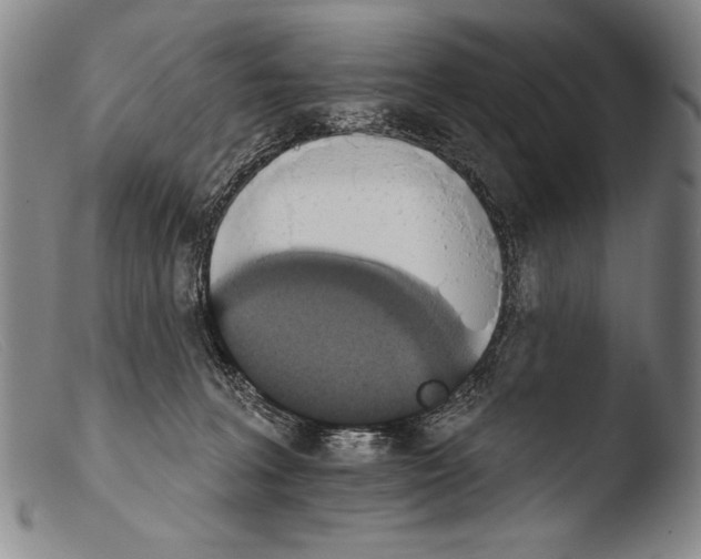 X0000103950227200810311557
