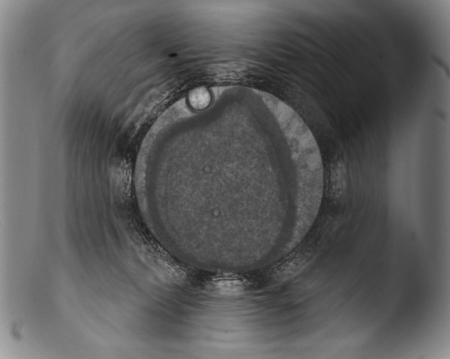 X0000103950228200810311557