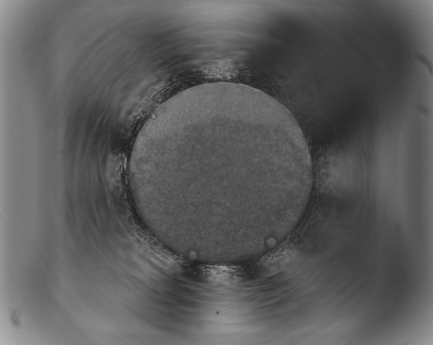 X0000103950229200810311557