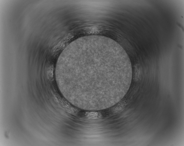 X0000103950230200810311557