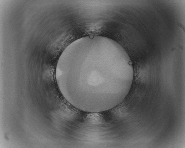 X0000103950231200810311557