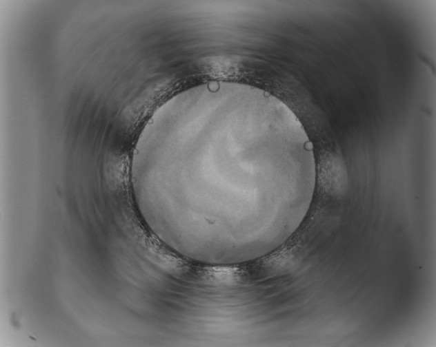 X0000103950233200810311557