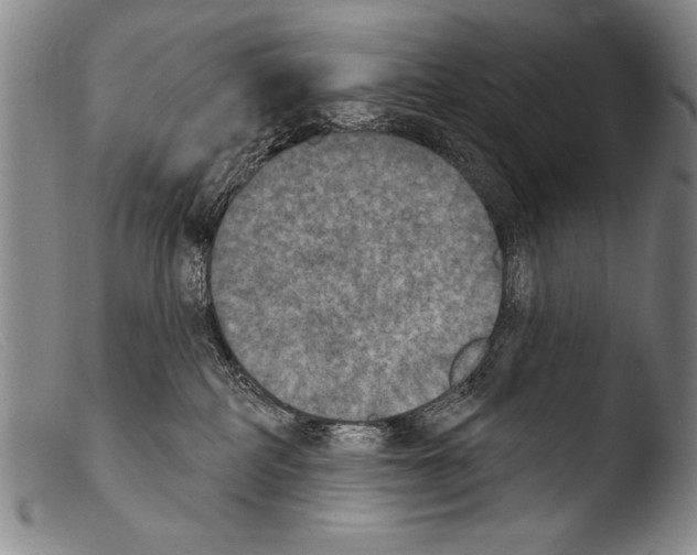 X0000103950234200810311557