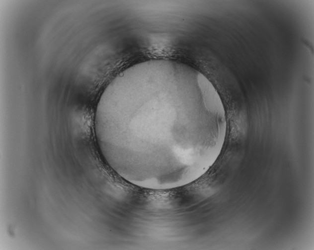 X0000103950235200810311557