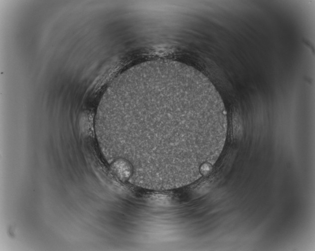 X0000103950236200810311557