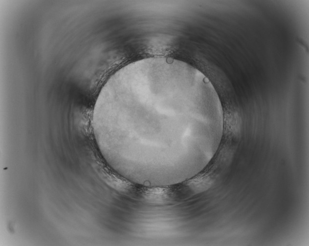 X0000103950237200810311557