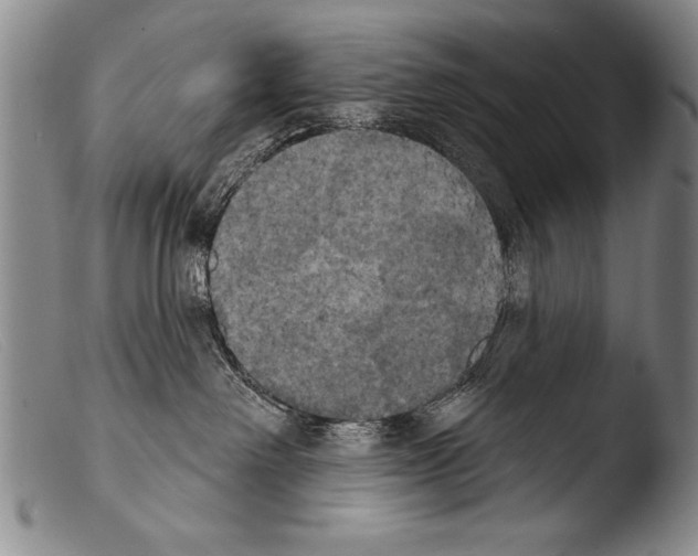 X0000103950238200810311557